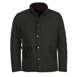 Veste matelass&eacute;e Quilt POWELL sage - 2XL