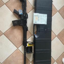 a vendre Fusil FD12 calibre12/76 canon lisse cat c1 Rep Manuelle
