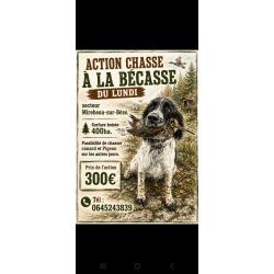 Chasse de la b&eacute;casse C&ocirc;te-d'Or