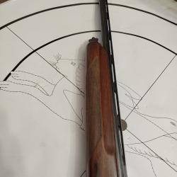 Beretta A 301 cal 12/70