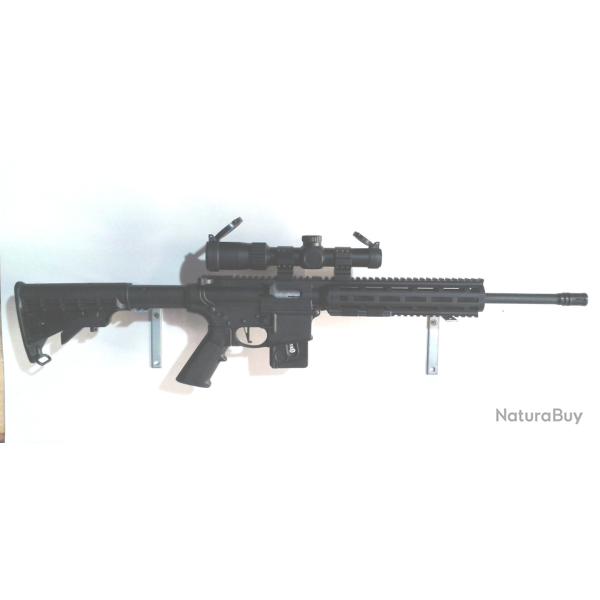 SMITH & WESSON MP15-22 en TBE avec d�tente match 1,5kgs, 2 chargeurs, 2 crosses et lunette 1-4 x 24