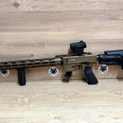 PACK CARABINE DERYA TM22 22LR OCCASION