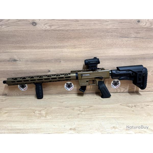PACK CARABINE DERYA TM22 22LR OCCASION