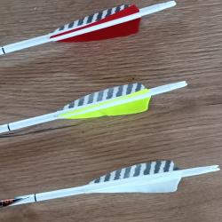 FLECHES CARBONE EASTON LEGACY rouge/rouge/blanc tigr&eacute; spin 400/ (par 6)