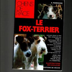 Le fox-terrier de a.marengoni