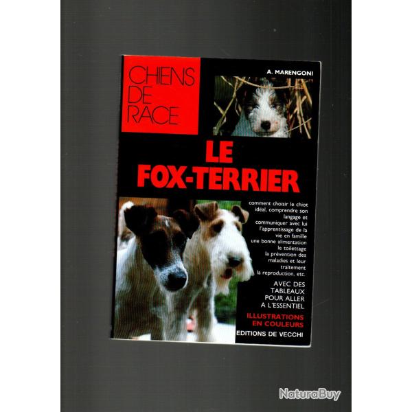 Le fox-terrier de a.marengoni