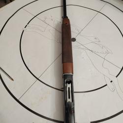 Beretta model A 304 silver cal12/76