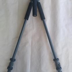 Canne de pirsch bipod (franco de port)