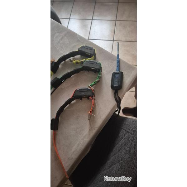 Collier dogtra pathfinder 1