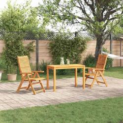 Ensemble de salle &agrave; manger pour jardin 3 pcs Marron