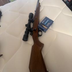 Carabine de chasse 270w