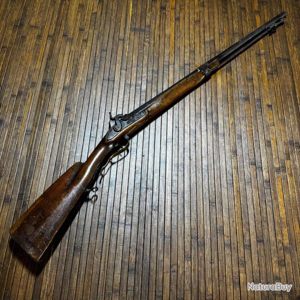 FUSIL DE CHASSE A SILEX PASS� A Percussion