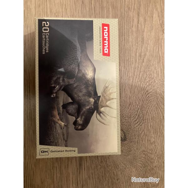 Balles Norma calibre 300 Win Mag
