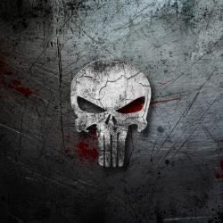 Tapis de nettoyage Punisher n&deg;2