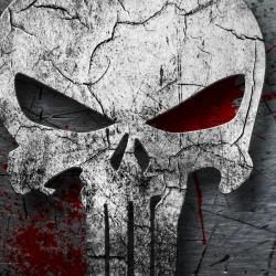 Tapis de nettoyage Punisher n&deg;4