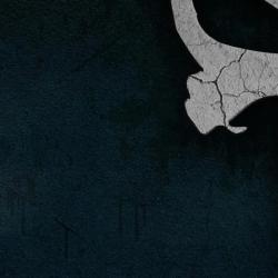 Tapis de nettoyage Punisher n&deg;5