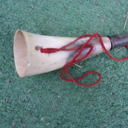 corne d'appel  17,8 cm