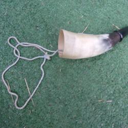 corne d'appel  16,3  cm