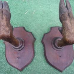 r&acirc;telier en patte pour une arme hauteur 18,5 cm