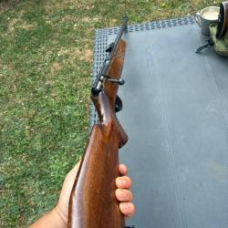 carabine 22LR