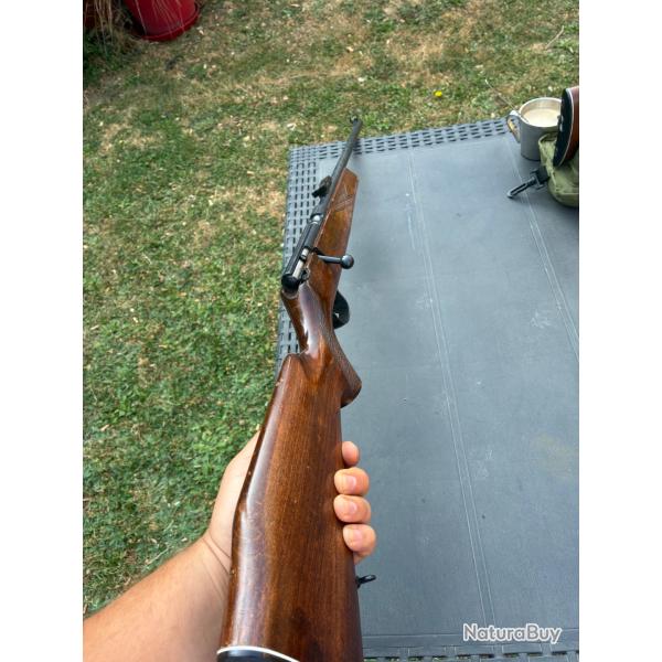 carabine 22LR