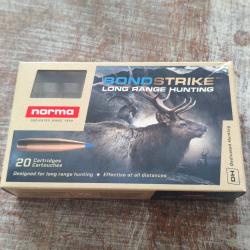 Lot de 10 Balle 7x64 norma bondstrike