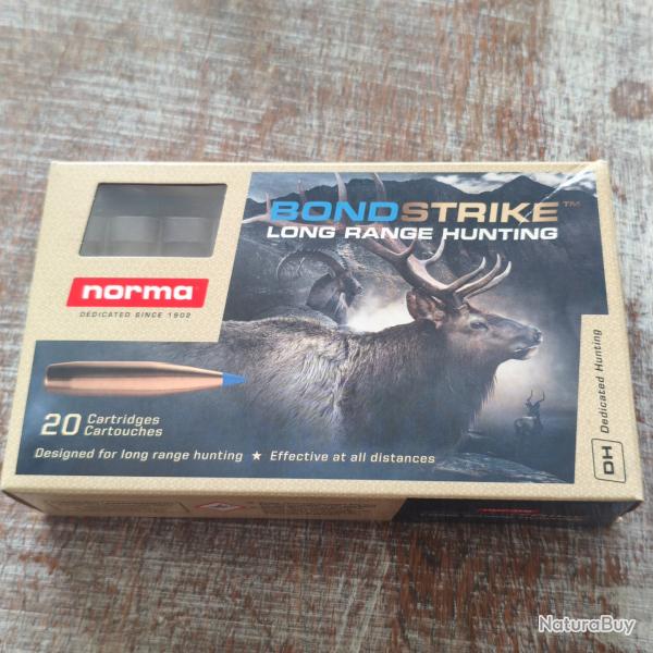 Lot de 10 Balle 7x64 norma bondstrike