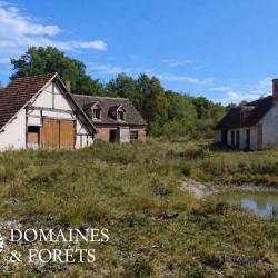 Authentique Fermette Solognote &agrave; r&eacute;nover  sur un territoire d'environ 8 hectares DF-2020-S