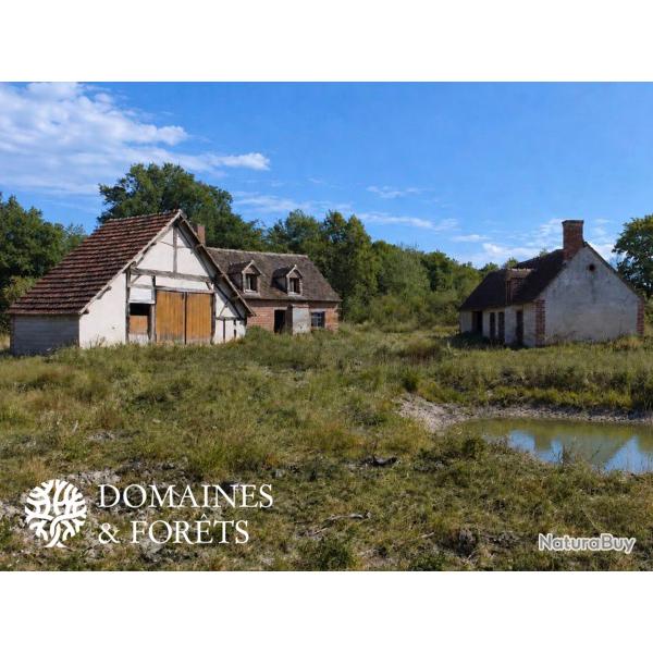 Authentique Fermette Solognote � r�nover  sur un territoire d'environ 8 hectares DF-2020-S