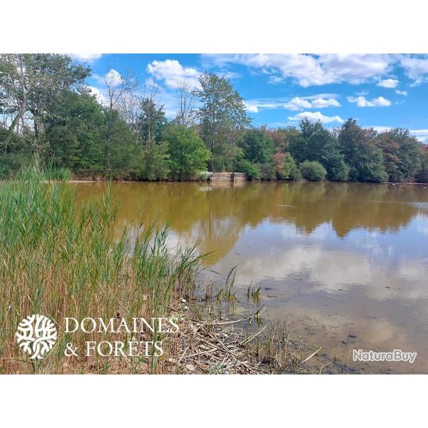 Territoire de Chasse P�che et d'Agr�ment dans l'Indre d'environ 10 hectares DF-2021-B