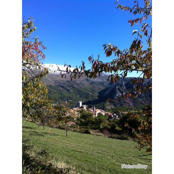 Carte de chasse pour chasser toute la saison � CIPIERES dans les Alpes-Maritimes
