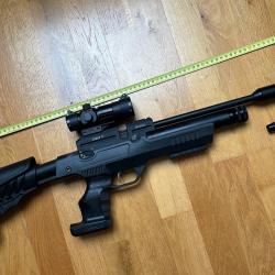 Webley Eclipse 12 PCP 5.5 mm avec pompe PCP, point rouge Gamo et RDS Weihrauch