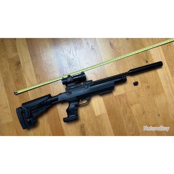 Webley Eclipse 12 PCP 5.5 mm avec pompe PCP, point rouge Gamo et RDS Weihrauch