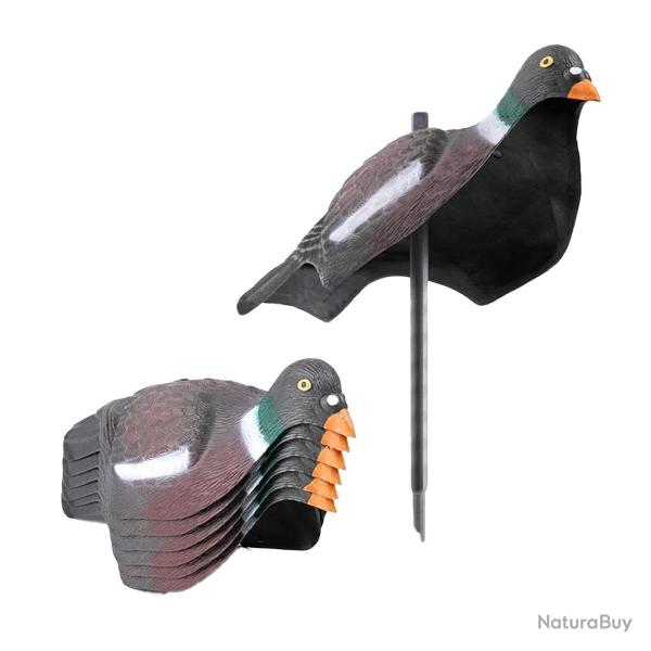 Flash Pigeon ** Forme de pigeon HD coquilles x12