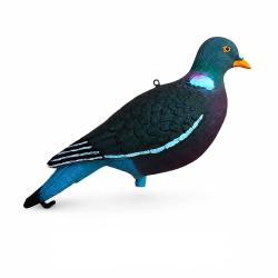 Flash Pigeon ** Formes de Pigeon HD x12