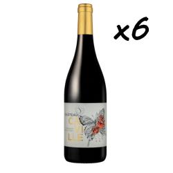 Vente Flash Bordeaux "Ch&acirc;teau Caville" 2024, 6 bouteilles, Livraison gratuite !!