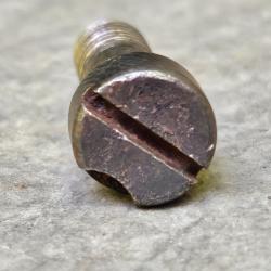 Vis de boitier courte pour Mauser 98 sans num&eacute;ro