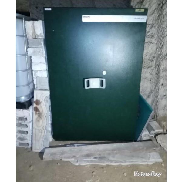 Armoire forte mustang safe