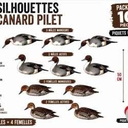 Pack 10 silhouettes canard pilet HD - M&acirc;les et femelles