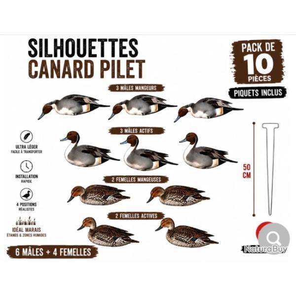 Pack 10 silhouettes canard pilet HD - M�les et femelles