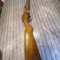 Carabine 410 magnum manuarm