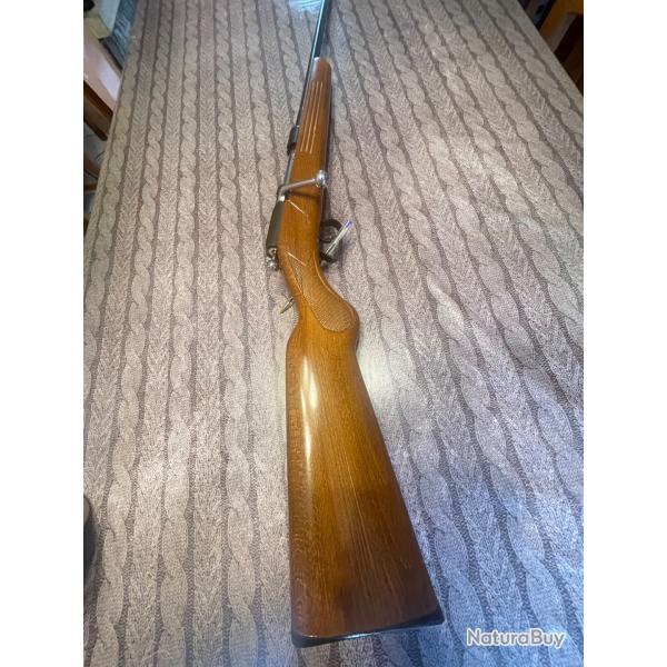 Carabine 410 magnum manuarm