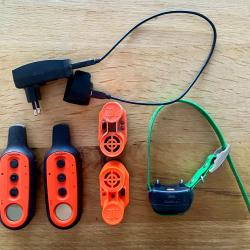 Beeper / dressage garmin delta upland xc