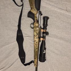 Carabine Franchi