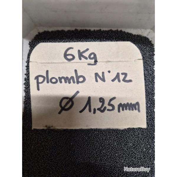 6kg Grenaille de plomb n12