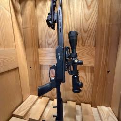 22 lr Savage