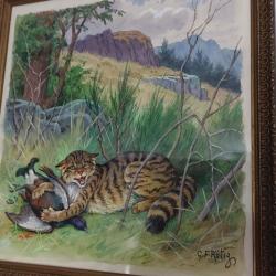Aquarelle chats sauvage georges rotig