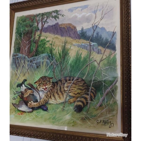 Aquarelle chats sauvage georges rotig