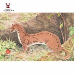 Blason animalier Hermine - JVD