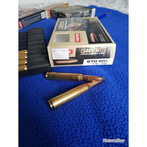 Lot de 18 balles 270 winchester pour ciblage